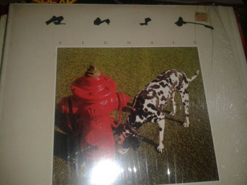 VINYL PH MACEM2 BANYAAK..