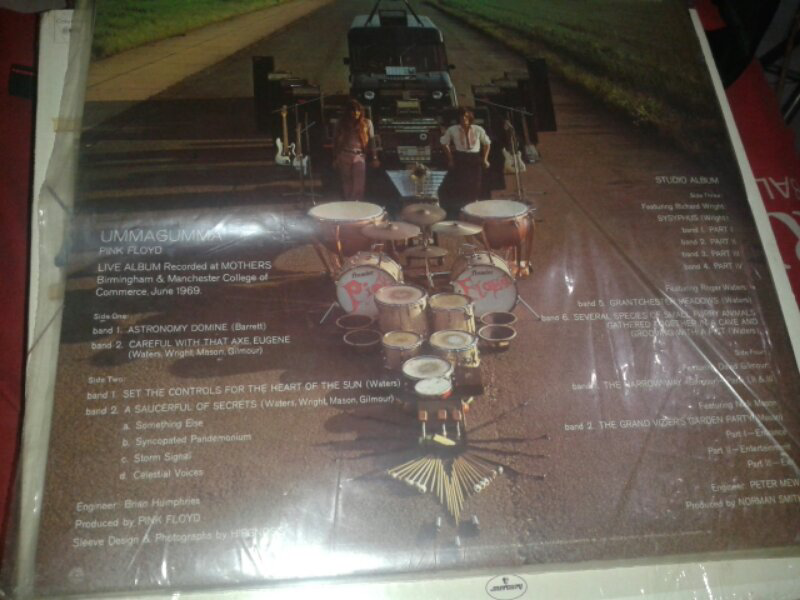 VINYL PH MACEM2 BANYAAK..