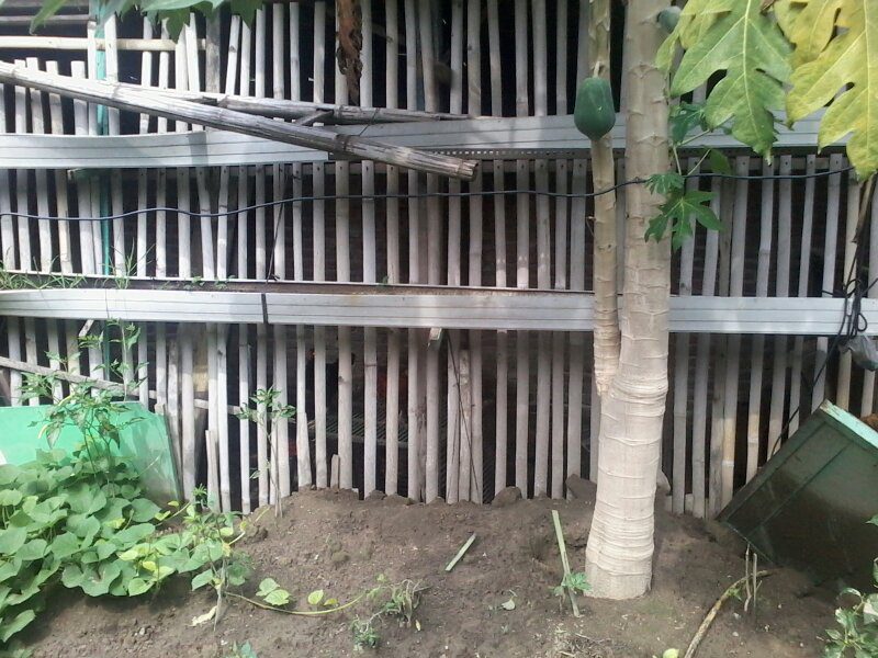 tolong di terawang
