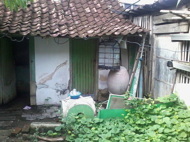 tolong di terawang