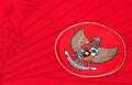Hot!!! lambang timnas