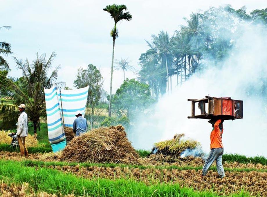 EKSOTIKA MINANGKABAU