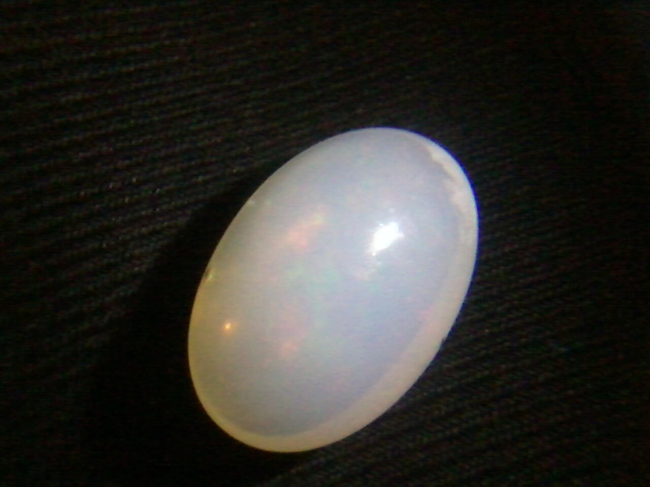 jual kalimaya susu asli banten