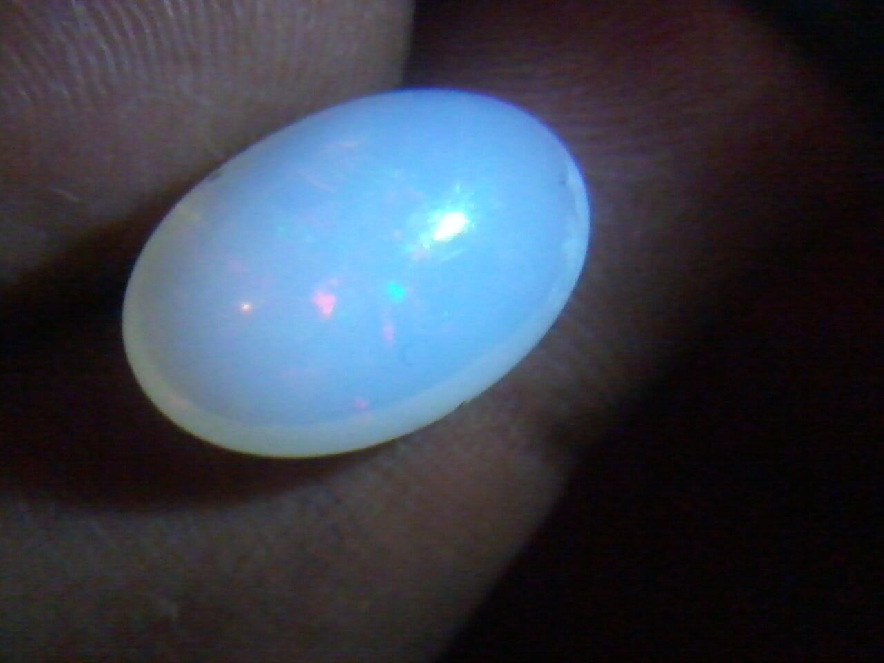 jual kalimaya susu asli banten