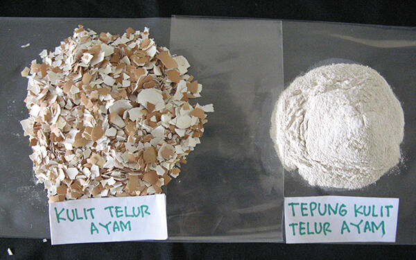 Manfaat Kulit Telur Jarang Kita Ketahui