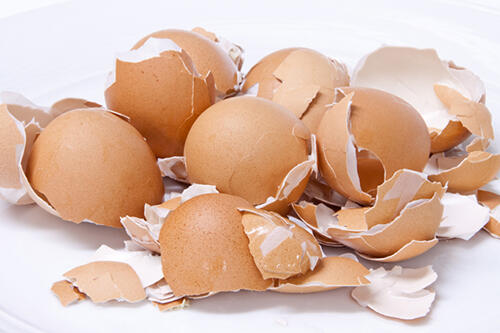 Manfaat Kulit Telur Jarang Kita Ketahui