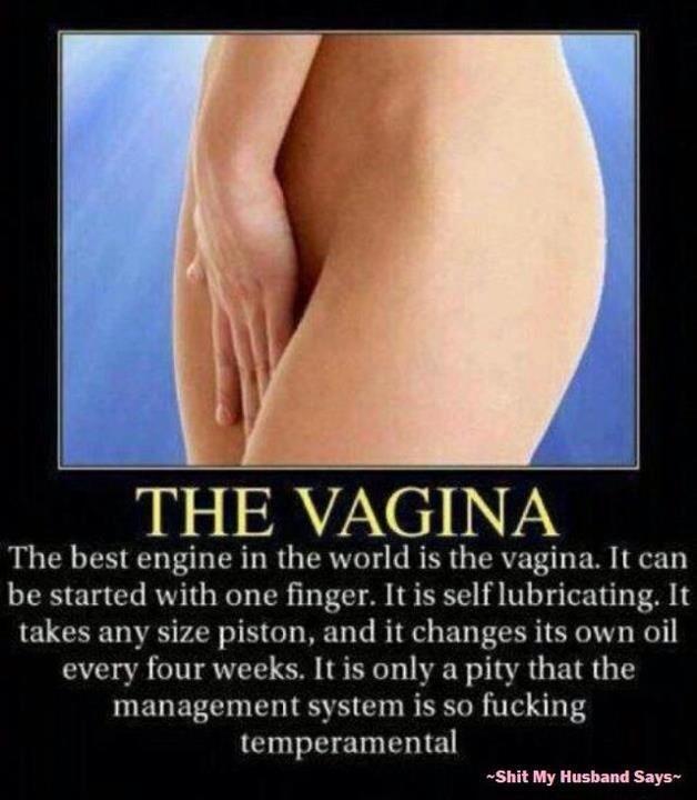 All About Vagina, cowo harus TAU !!!