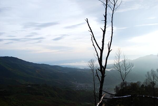 Matahari Terbit di Bukit Sikunir