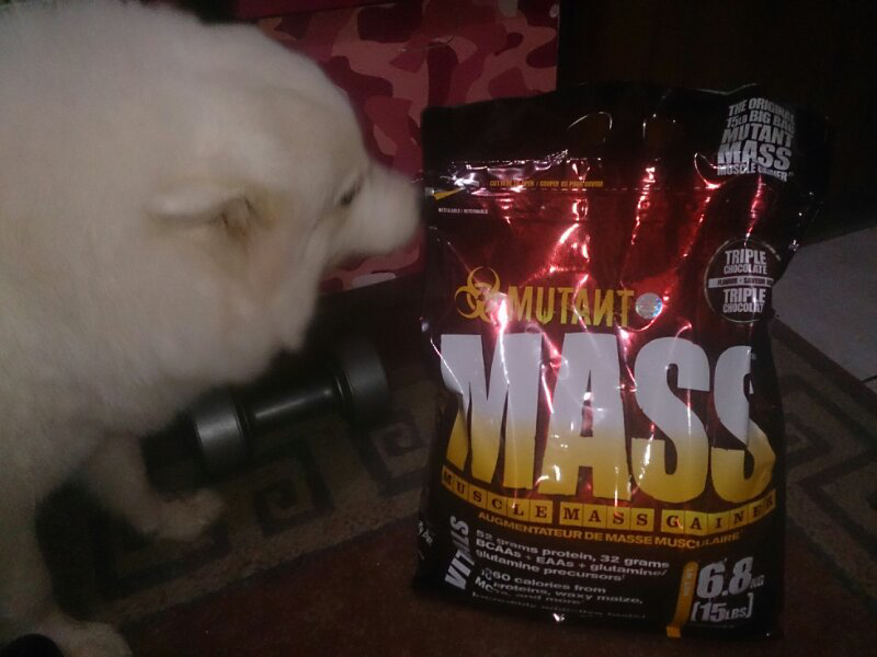 Nutrisi Untuk Fitness Lengkap dari Berbagai Merk