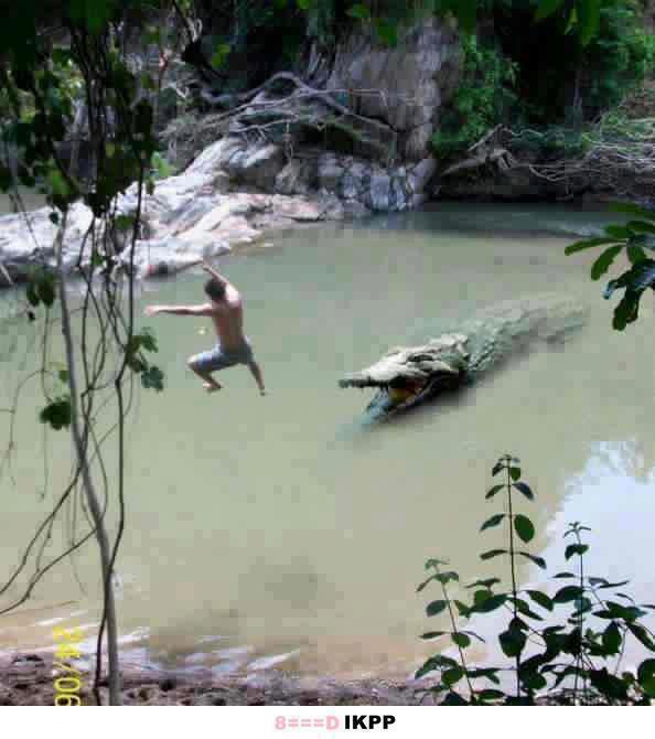 Kumpulan Foto Lucu Ane nih gan, foto lucu ente mane nih??share juga ye :D