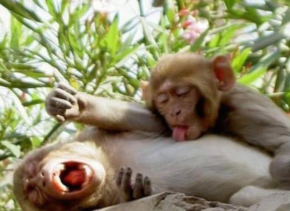 Kumpulan Foto Lucu Ane nih gan, foto lucu ente mane nih??share juga ye :D