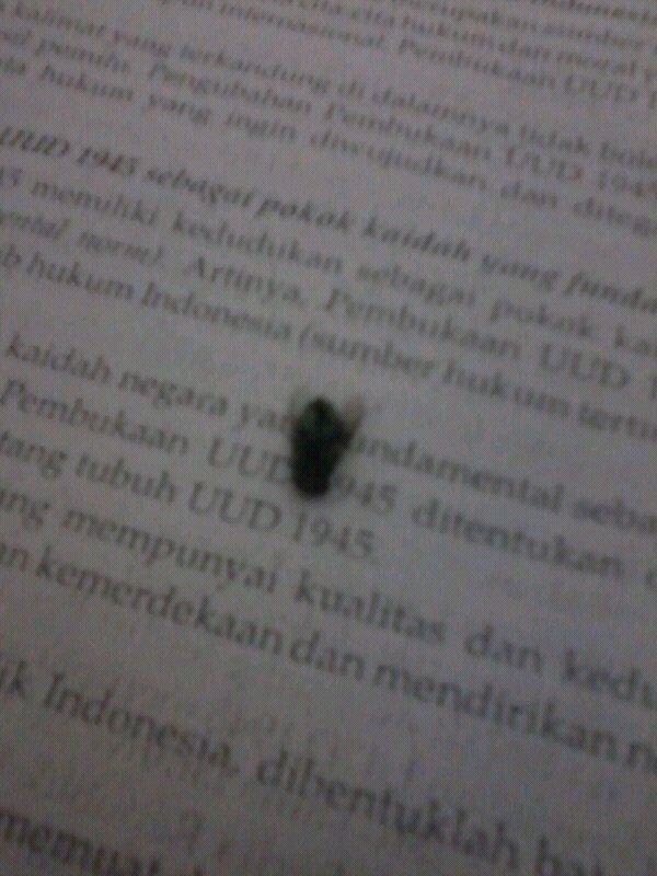 Ente bisa gak kaya ane nih?