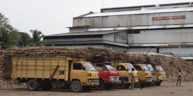 ( Habis Manis Sepah Dibuang ) Kebijakan Impor Gula Resahkan Petani Tebu di Daerah