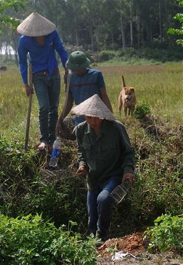 &#91;Vietnam&#93; Berburu Tikus, Sembelih, Panggang, Siap Dipasarkan, Rasa Ayam Panggang :D