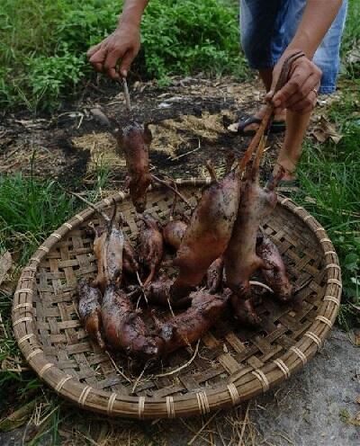 &#91;Vietnam&#93; Berburu Tikus, Sembelih, Panggang, Siap Dipasarkan, Rasa Ayam Panggang :D