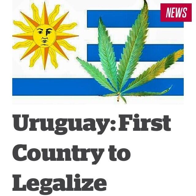 Negara pertama yang Melegalkan Ganja