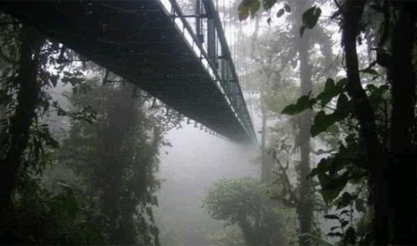 4 Jembatan Gantung Paling Mengerikan Di Dunia