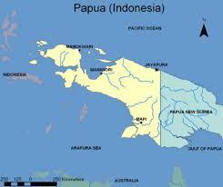 Melihat Transaksi Lompat Pagar di Batas RI-PNG