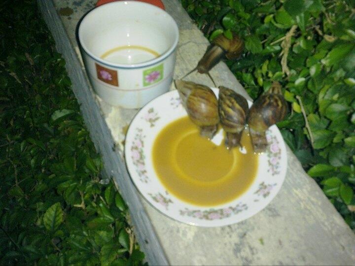 Seruput gaaannn