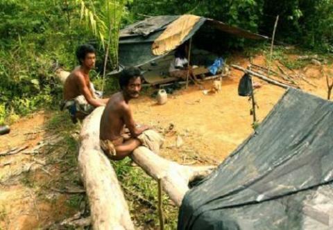 Perusahaan Sawit Serbu Perkampungan SUKU ANAK DALAM Jambi