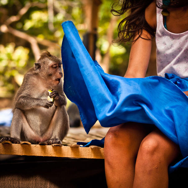 (PIC) Gallery of Perfectly Timed Photos