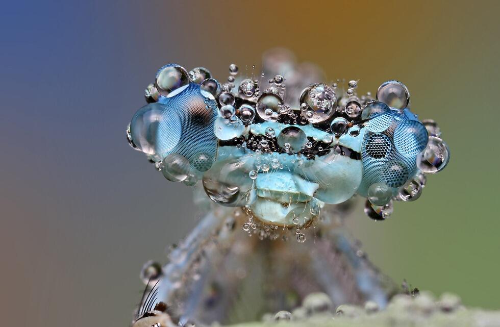 (PIC) Gallery of Perfectly Timed Photos