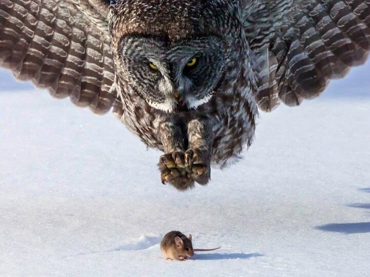 (PIC) Gallery of Perfectly Timed Photos