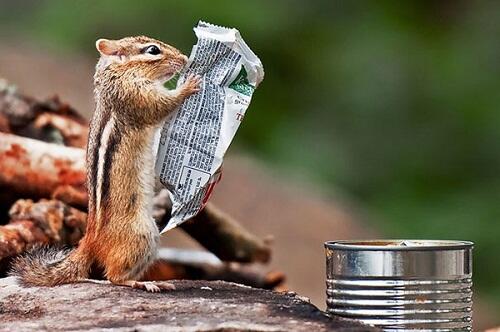(PIC) Gallery of Perfectly Timed Photos