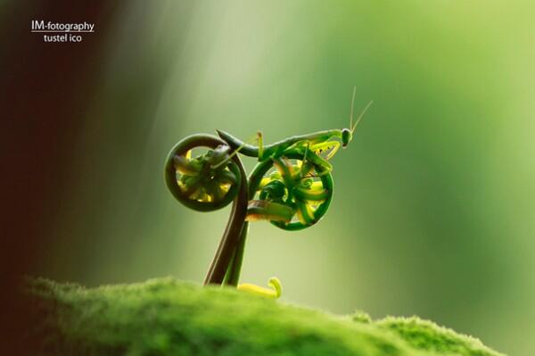 (PIC) Gallery of Perfectly Timed Photos