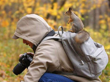 (PIC) Gallery of Perfectly Timed Photos