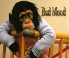 apa yg kalian lakukan jika sedang bad mood?