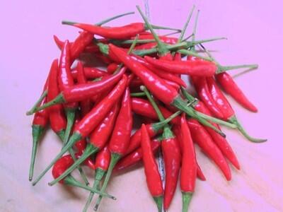 fenomena 'cabe-cabean' ...agan yang pengen tau masuk..