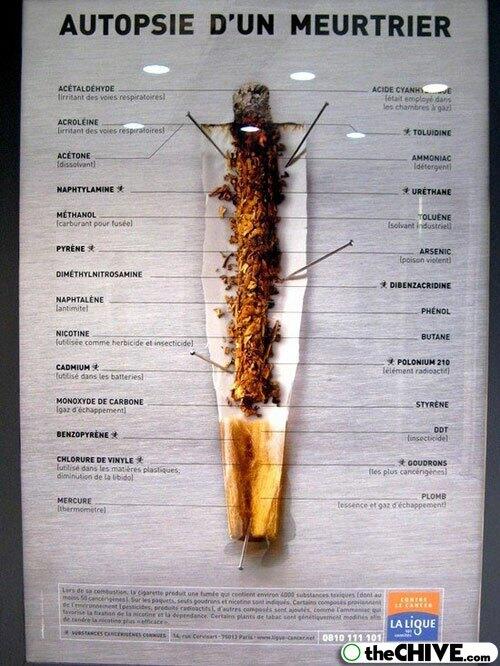 &#91;BAHAYA&#93; KARYA SENI IKLAN ROKOK ++PICT