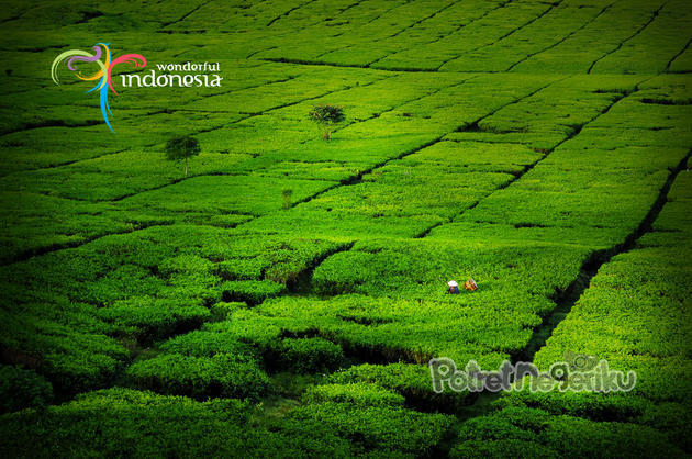 Kesamaan kota Bandung dan Malang (UPDATE)