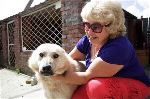Druzhok - Anjing Yang Menjaga Rumah Walau Dalam Keadaan Banjir