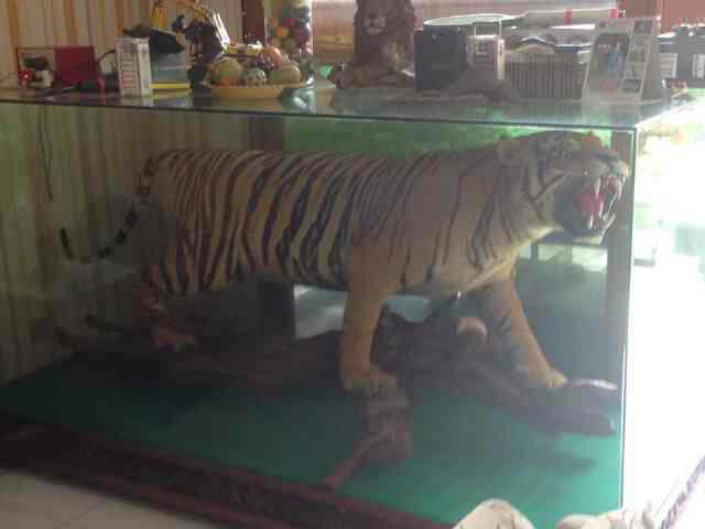 MACAN OFFSET 2 METER