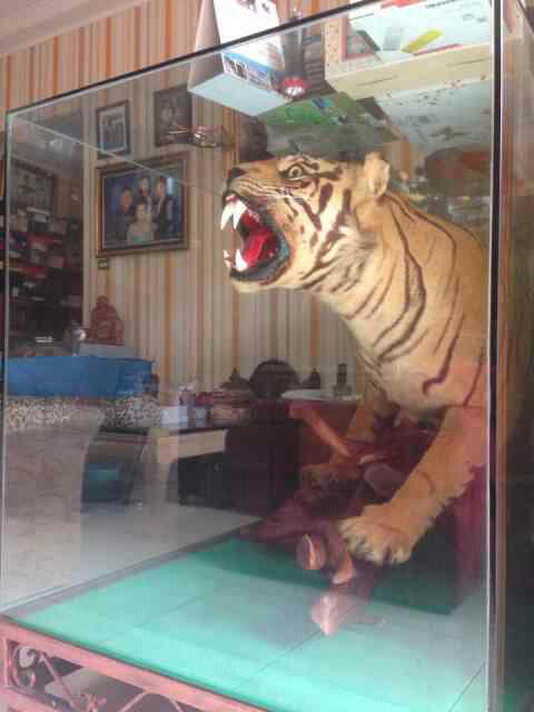 MACAN OFFSET 2 METER