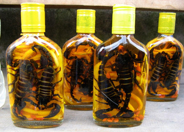 Ragam Minuman yang Aneh dan Gak Lazim dari Mancanegara &#91;EXTRA HOT&#93;