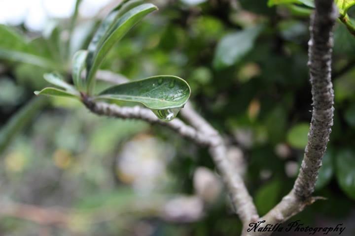 Share Hasil Fotografi &#91;Always Update&#93;