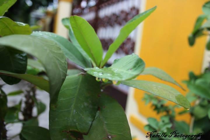 Share Hasil Fotografi &#91;Always Update&#93;