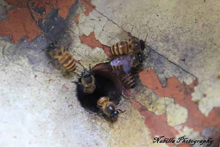 Share Hasil Fotografi &#91;Always Update&#93;