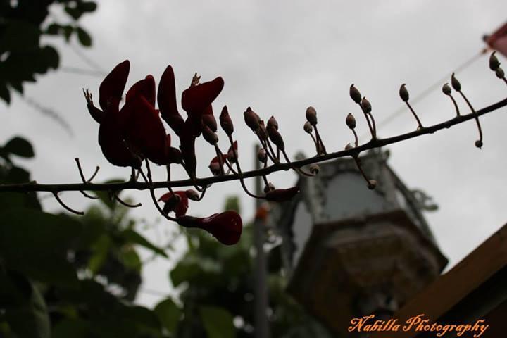 Share Hasil Fotografi &#91;Always Update&#93;
