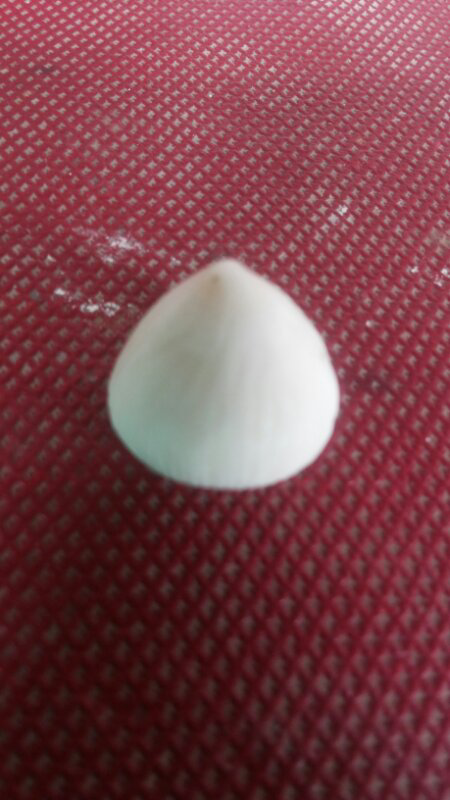 jual mustika kelapa