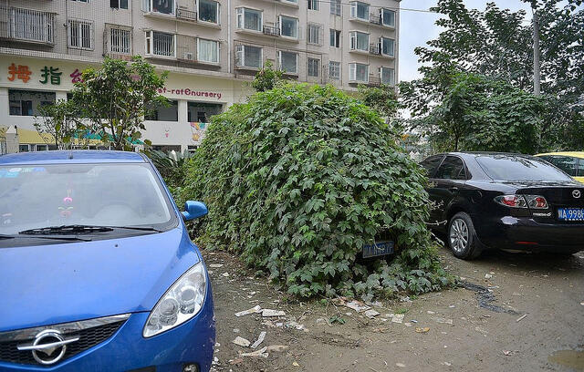 wow... mobil zombie ditemukan di Cina Gan