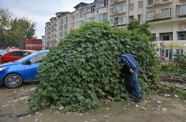 wow... mobil zombie ditemukan di Cina Gan