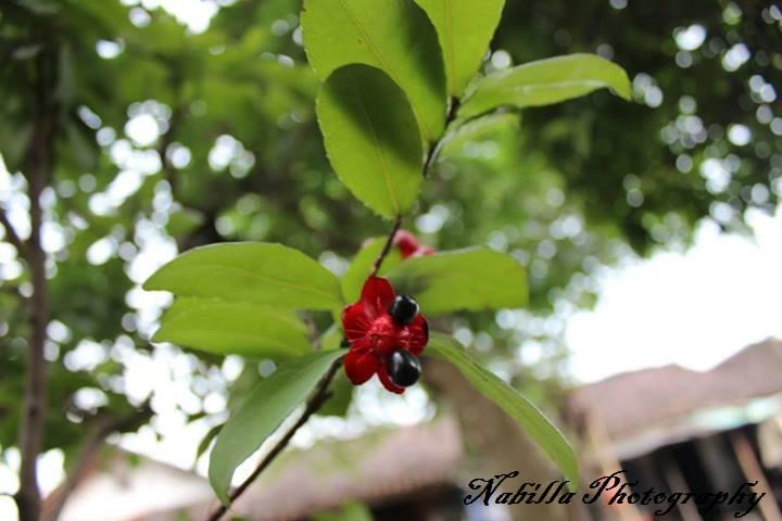 Share Hasil Fotografi &#91;Always Update&#93;
