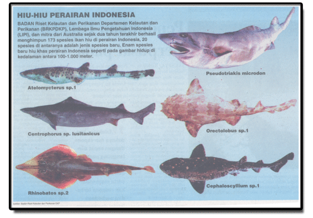 11 FAKTA YANG MEMBANGGAKAN DARI INDONESIA