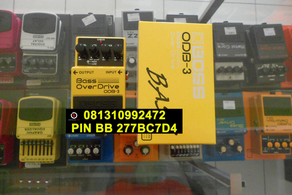 Noise Suppressor NS-2