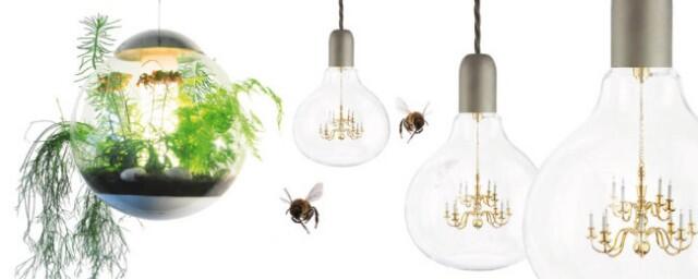 Lampu lampu yang menarik perhatian ! 