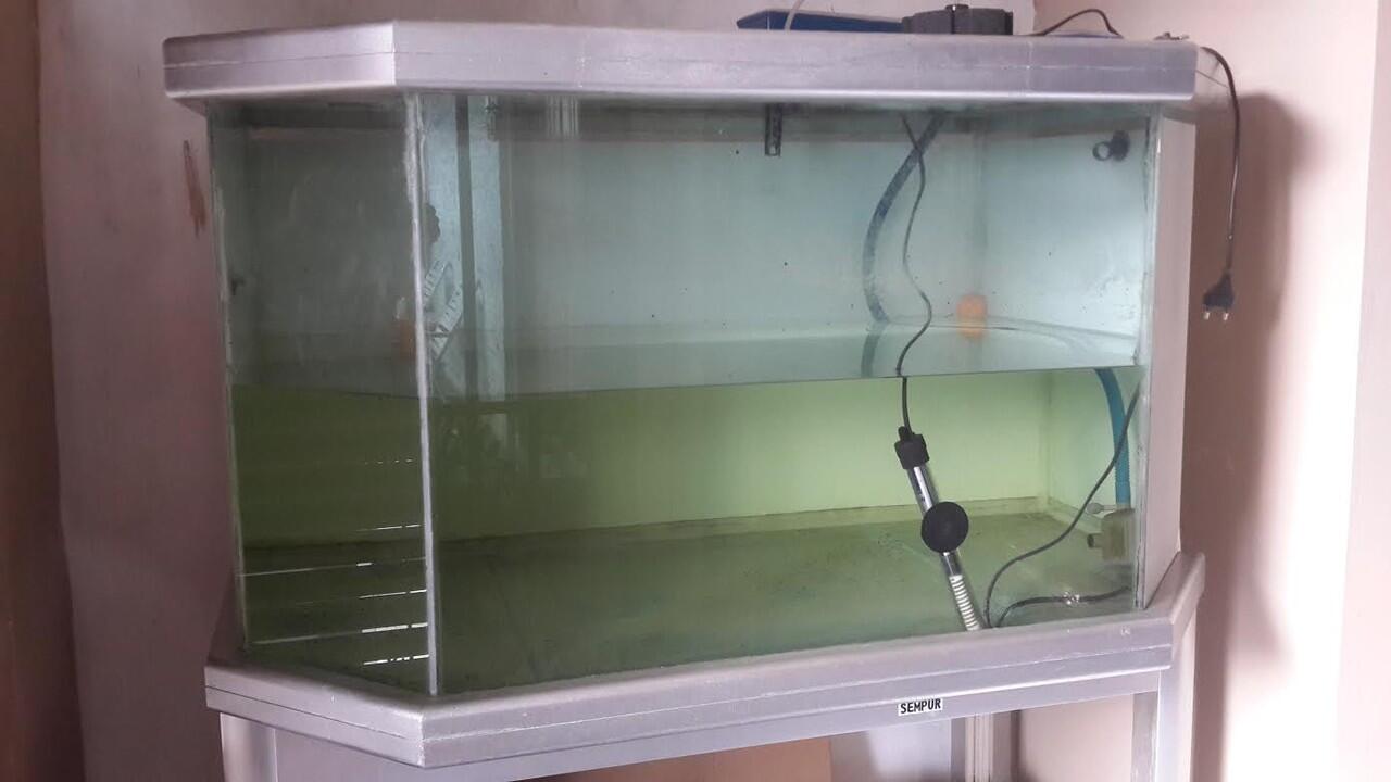 Terjual Akuarium/Aquarium 1 meter BOGOR | KASKUS